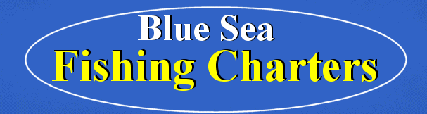 New Zealand Marlin Fishing Charters